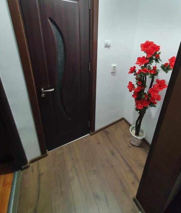 Sweet Home & Liliana Tecuci Exterior foto